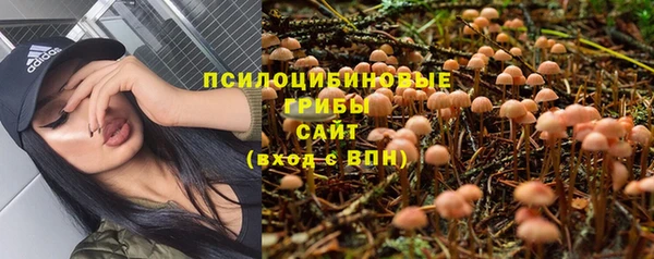 хмурый Новодвинск