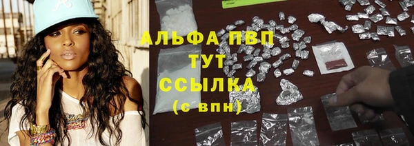 ECSTASY Новокубанск